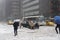 March 14, 2017, Manhattan, New York City, USA - Car stuck in snow during snow blizzard in Manhattan, New York City,