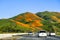 March 16, 2019 Lake Elsinore / CA / USA - Cars driving through hills covered in California poppies during the superbloom in south