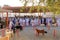 March 18 2022 - Nizwa, Oman: omani men at the old Nizwa goat market