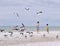 March 2019, Indian Rocks Beach, Florida - three children on the pristine shores of a Tampa area beach are feeding