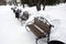 March 23, Rodniki, Russia 2021. Benches in a city park in winter. Recreation area for visitors to the suburban residence