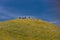 MARCH 31, 2019 - CARIRIZO PLAIN NATIONAL MONDUMENT (BLM) CENTRAL CALIFORNIA, USA - people on hill in spring super bloom follow