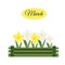 March banner with daffodils. Narcissus in wooden box, gardening