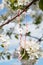 March bracelets hanging from a branch 