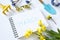 March written in notebook, daffodils, gardening tool