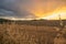 Marche Region, Italy. Rural landscape at sunset. Meadow