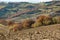 The Marche`s hill in the Montefeltro region, Italy