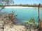 Marco Island mangrove lagoon