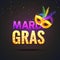 Mardi gras carnival festival celebration. Holiday colorful fat tuesday. Happy mardi gras masquerade party poster design