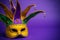 Mardi Gras or Carnivale mask on purple