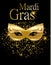 Mardi Gras golden carnival mask for poster, greeting card, party invitation, banner or flyer on black background with golden sand