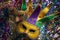 Mardi Gras Mask and Beads