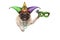 Mardi gras pug puppy dog with carnival harlequin hat and venetian mask hanging on blank banner