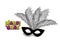 Mardi Gras realistic mask feather