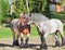 Mare and stallion of brabant breed