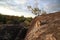 Mareeba rock wallabies at Granite Gorge,queensland australia