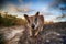 Mareeba rock wallabies at Granite Gorge,queensland australia