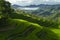 Mareje Sekotong, terraced rice fields in Lombok, Indonesia with a beautiful panorama
