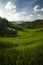 Mareje Sekotong, terraced rice fields in Lombok, Indonesia with a beautiful panorama