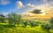 Maremma countryside panorama and olive trees on sunset. Casale Marittimo, Pisa, Tuscany Italy