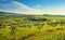 Maremma countryside panorama, road and olive trees. Casale Marittimo, Tuscany Italy