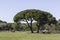 Maremma regional park insight landscapes