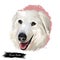 Maremma sheepdog Ñane livestock guardian dog indigenous to central Italy digital art illustration. Friendly smiling dog