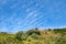 Mares Tails - Cirrus Uncinus Clouds