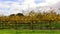 Margaret River vineyard