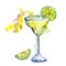 Margarita bar party cocktail drink. Alcohol in glass set, restaurant menu illustration.