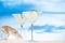 Margarita cocktail on beach, blue sea and sky background