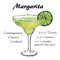 Margarita cocktail vector2