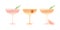 Margarita dessert glass set. Soft drink. Flat vector gradient illustration with texture