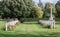 Margate, Kent, UK. 19th. September 2018. Commonwealth graves in St. John`s cemetery