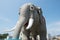 MARGATE, NJ - AUGUST 16: Lucy the Elephant on August 16, 2016