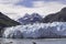 Margerie Glacier and Mt Fairweather from Glacier Bay National Park