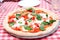 Margherita Italian pizza tricolore