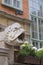 Mariacka street, grotesque gargoyle on front of tenement house, Gdansk, Poland