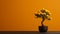 Marigold Bonsai Tree: Oriental Minimalism With Bold Use Of Color