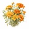 Marigold Bouquet: Detailed Watercolor In Naturalistic Botanical Art Style