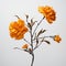 Marigold Branch: Japanese Traditional Paper Sculpture With Baroque Chiaroscuro