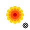 Marigold calendula flower top view logo.