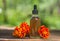 Marigold essential oil in beautiful bottle on table