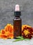 Marigold essential oil and fresh Tagetes flowers on old wooden background.Alternative medicine,aromatherapy or spa concept.