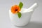 Marigold flower in a ceramic mortar