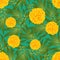 Marigold Flower - Tagetes on Green Background. Vector Illustration