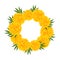 Marigold Flower - Tagetes Wreath isolated on White Background. Vector Illustration.