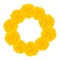 Marigold Flower - Tagetes Wreath isolated on White Background. Vector Illustration