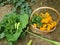 The Marigold flowers in the basket and the vegetables on the green leaf.