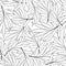 Marigold Leaves Outline - Tagetes on White Background. Vector Illustration